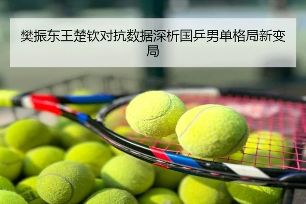 樊振东王楚钦对抗数据深析国乒男单格局新变局