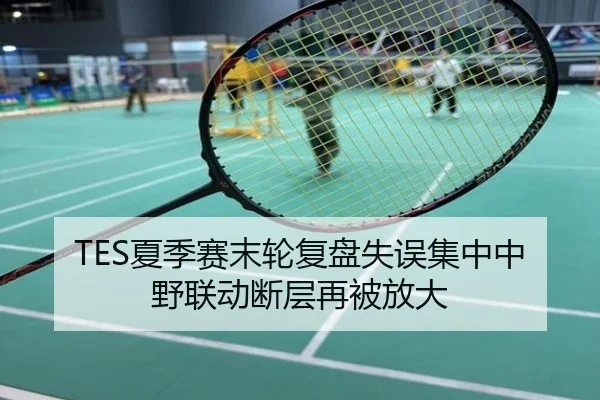 TES夏季赛末轮复盘失误集中中野联动断层再被放大