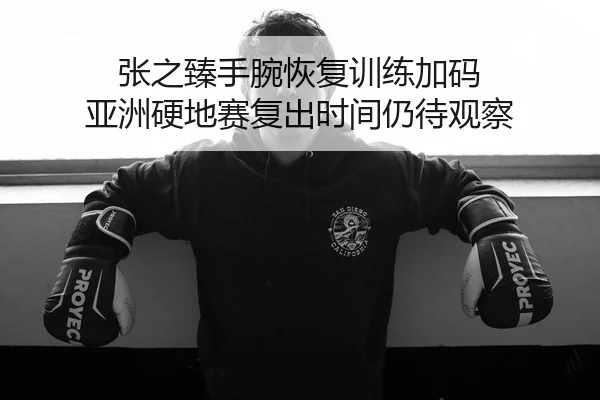 张之臻手腕恢复训练加码 亚洲硬地赛复出时间仍待观察