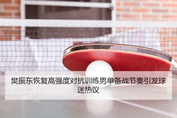 樊振东恢复高强度对抗训练男单备战节奏引发球迷热议