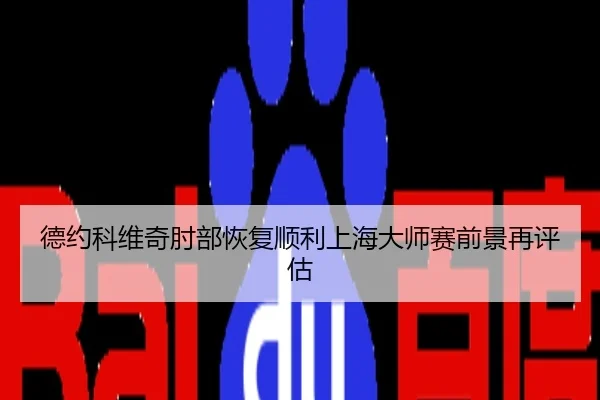 德约科维奇肘部恢复顺利上海大师赛前景再评估