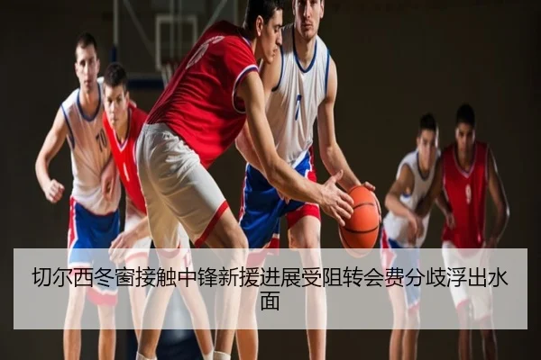切尔西冬窗接触中锋新援进展受阻转会费分歧浮出水面